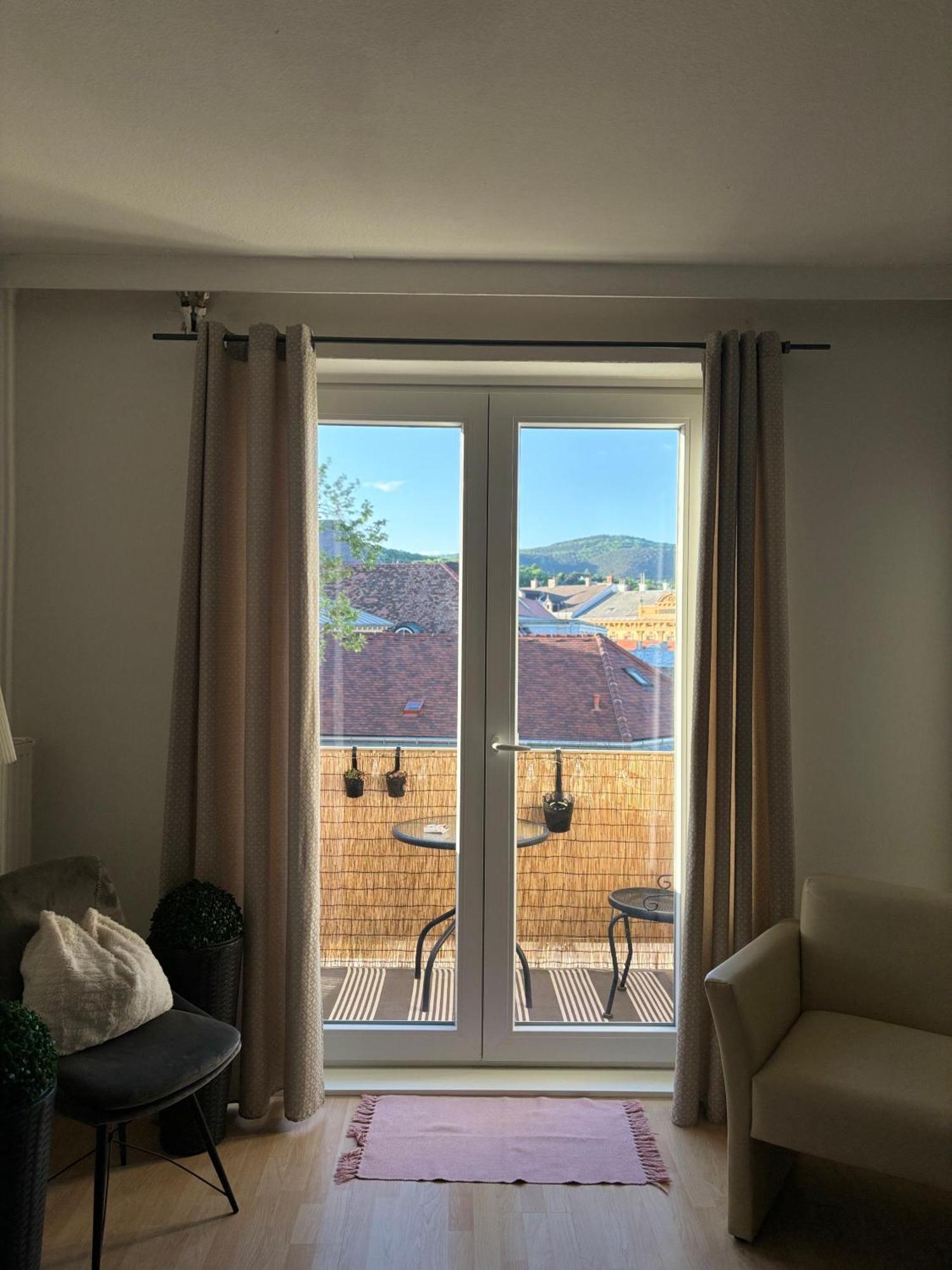 Zum Breyer Bnb City Apartment بادن المظهر الخارجي الصورة