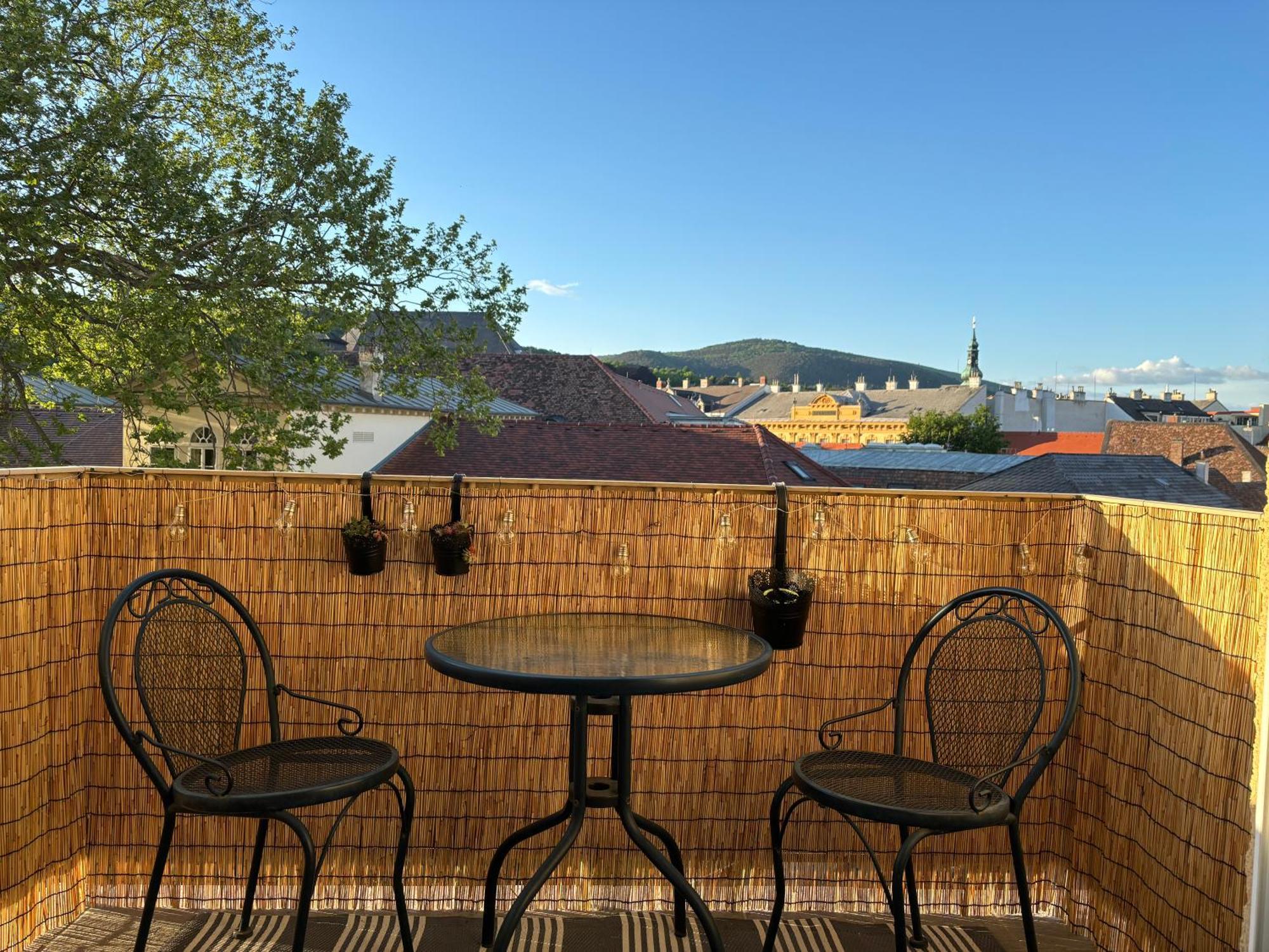 Zum Breyer Bnb City Apartment بادن المظهر الخارجي الصورة